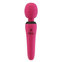 PalmPower Groove Mini Wand - Fuchsia