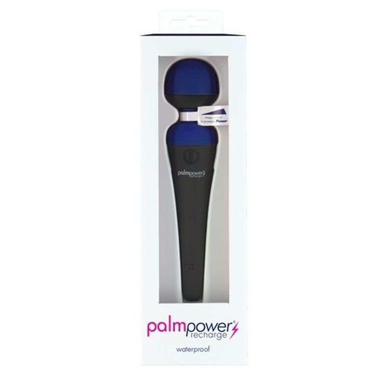 PalmPower Massage Wand - Blue