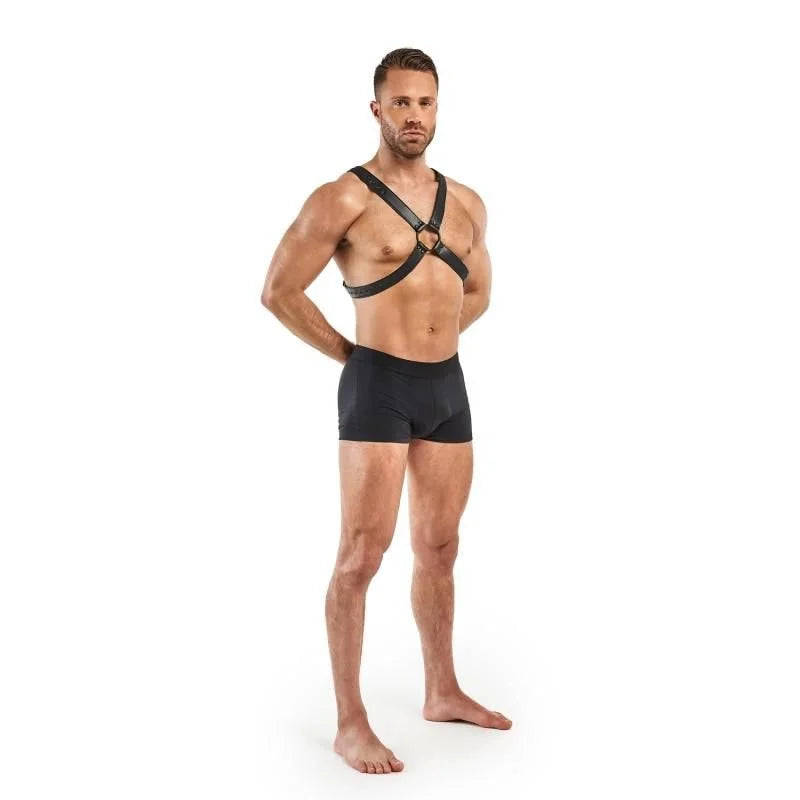 Bedroom Fantasies Lionel Bondage Harness - Black