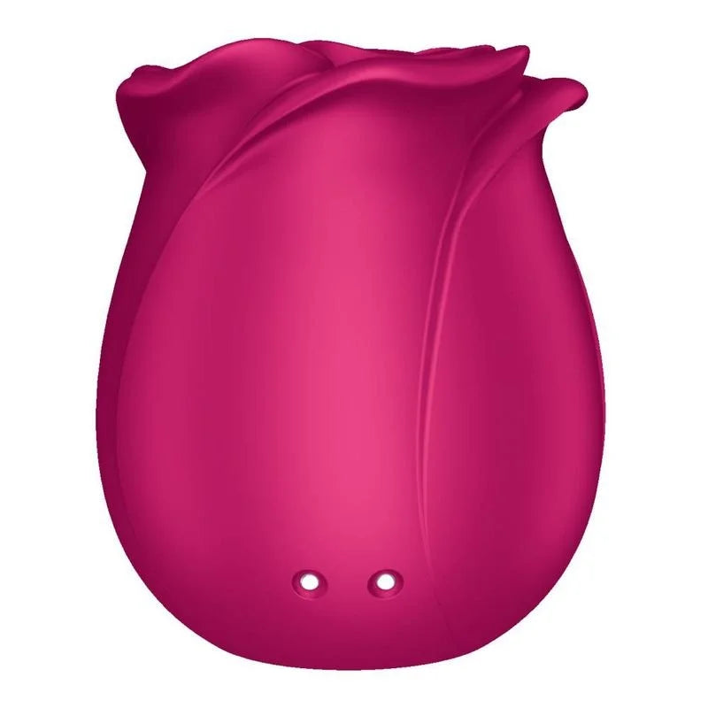 Satisfyer Pro 2 Classic Blossom Air Wave Clitoral Stimulator - Pink